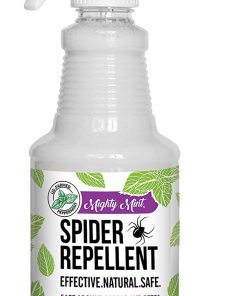 Spider Repellent Peppermint Oil