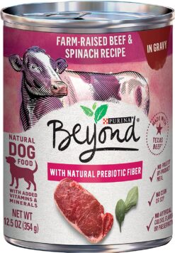 Purina Beyond Grain Free, Natural, Adult in Gravy Wet Dog Food, Beef & Spinach 12.5 oz. Cans