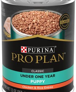 Purina Pro Plan (3810002773) Wet Dog Food, Focus, Puppy Chicken & Rice Entree Classic, 13-Ounce Can, Pack of 12