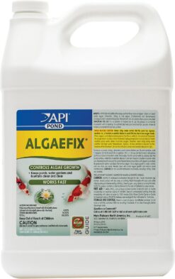 API Pond Algaefix Algae Control Solution, 1-Gallon