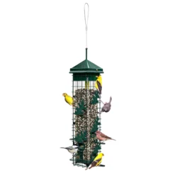 Brome Squirrel Solution 200 Squirrel-Proof Wild Bird Feeder with 6 Feeding Ports, 3.4 lb Seed Capacity, Free Seed Funnel
