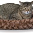 K&H Pet Products Thermo-Kitty Fashion Splash Heated Cat Bed, Large (Mocha)