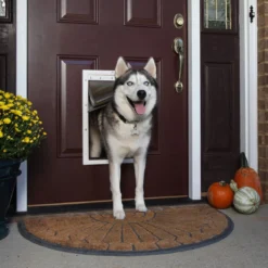 PetSafe Extreme Weather Energy Efficient Pet Door