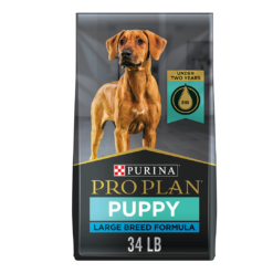 Purina Pro Plan Large Breed Dry Puppy Food Chicken and Rice Formula - 34 lb. Bag