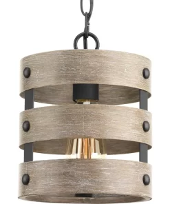 Progress P500022-143 Lighting Gulliver 8-1/2 in. 1-Light Graphite Coastal Drum Mini-Pendant with Weathered Gray Wood Accents