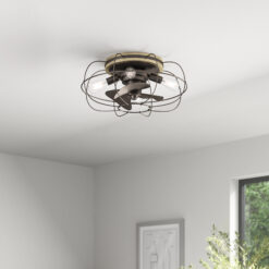 Trent Austin Design 22" Evaro 3 - Blade Caged Ceiling Fan with Light Kit Included