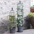 Plant Trellis Garden Obelisk Tool Set Durable Planting Support Frame Butterfly Clip Metal Black Tower Flower Stand