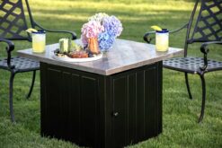 Endless Summer Harper 24.61" H x 30" W Steel Propane Outdoor Gas Fire Pit with Lid