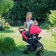 Graco Verb Click Connect Travel System - Merrick