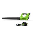 Greenworks 24-volt 330-CFM 100-MPH Battery Handheld Leaf Blower (Battery Included)