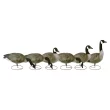 Flambeau Outdoors, 8990FBU, Storm Front, Full Body Canada Standard, Full Size, Goose Decoys, 6 Pack, 24.5 pounds