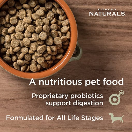 Diamond Naturals Skin and Coat Dry Dog Food, 30 lbs.