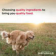 Diamond Naturals Skin and Coat Dry Dog Food, 30 lbs.