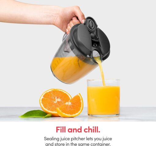 NutriBullet Juicer Centrifugal Juicer Machine for Fruit, Vegetables, and Food Prep, 27 Ounces/1.5 Liters, 800 Watts, Gray NBJ50100 - 8