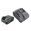FLEX STACKED LITHIUM Starter Kit 24-V Lithium-ion Battery and Charger (Charger Included)