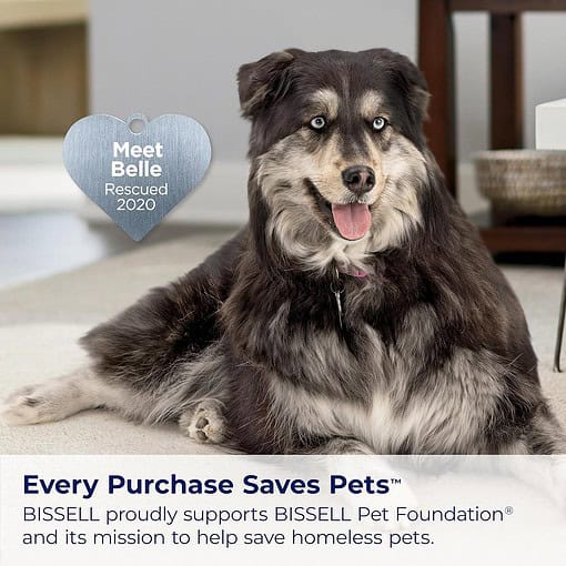 BISSELL 3774F Pet Hair Eraser Turbo Lift-Off Vacuum, w/ Self-Cleaning Brush Roll