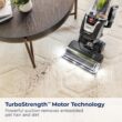 BISSELL 3774F Pet Hair Eraser Turbo Lift-Off Vacuum, w/ Self-Cleaning Brush Roll
