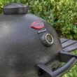 Char-Griller E16620 Akorn 20-inch Kamado Charcoal Grill in Black