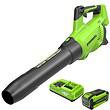 Greenworks 40V (160 MPH / 700 CFM / 75+ Compatible Tools) Cordless Brushless Axial Leaf Blower, 8.0Ah Battery and Charger Included