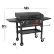 Blackstone 2-Burner 28” Propane Griddle with Hood and Omnivore Griddle Plate