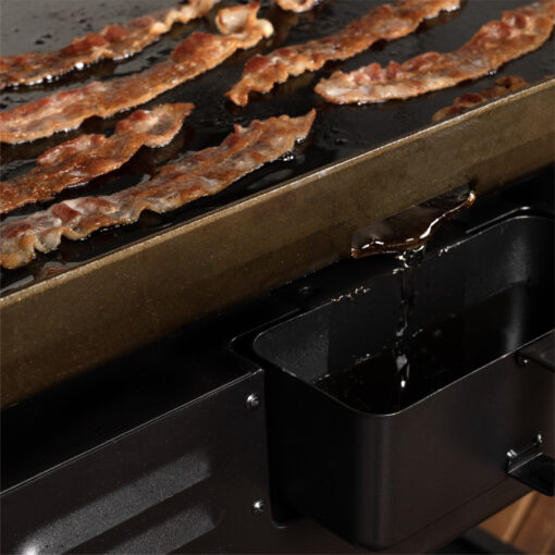 Blackstone 2-Burner 28” Propane Griddle with Hood and Omnivore Griddle Plate