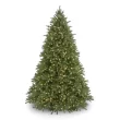 National Tree Company 9-ft Fraser Fir Pre-lit Artificial Christmas Tree with White Incandescent Lights