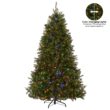 National Tree Company 9-ft Dunhill Fir Pre-lit Artificial Christmas Tree with Color Changing LED Lights