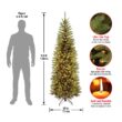National Tree Company Artificial Pre-Lit Slim Christmas Tree, Green, Kingswood Fir, White Lights, Includes Stand, 6.5 Feet National Tree Company Artificial Pre-Lit Slim Christmas Tree, Green, Kingswood Fir, White Lights, Includes Stand, 6.5 Feet
