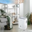 Whirlpool 1.75-Gallon 30 -Pint 2 -Speed Dehumidifier (For Rooms 1501 - 3000 Square Feet) White Whirlpool 1.75-Gallon 30 -Pint 2 -Speed Dehumidifier (For Rooms 1501 - 3000 Square Feet) White