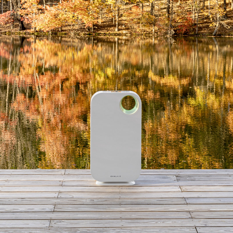 OVAL AIR 3-Stage H13 True HEPA 5-in-1 Air Purifier reduces Allergies, Asthma, Pets, Odor, Smoke, White