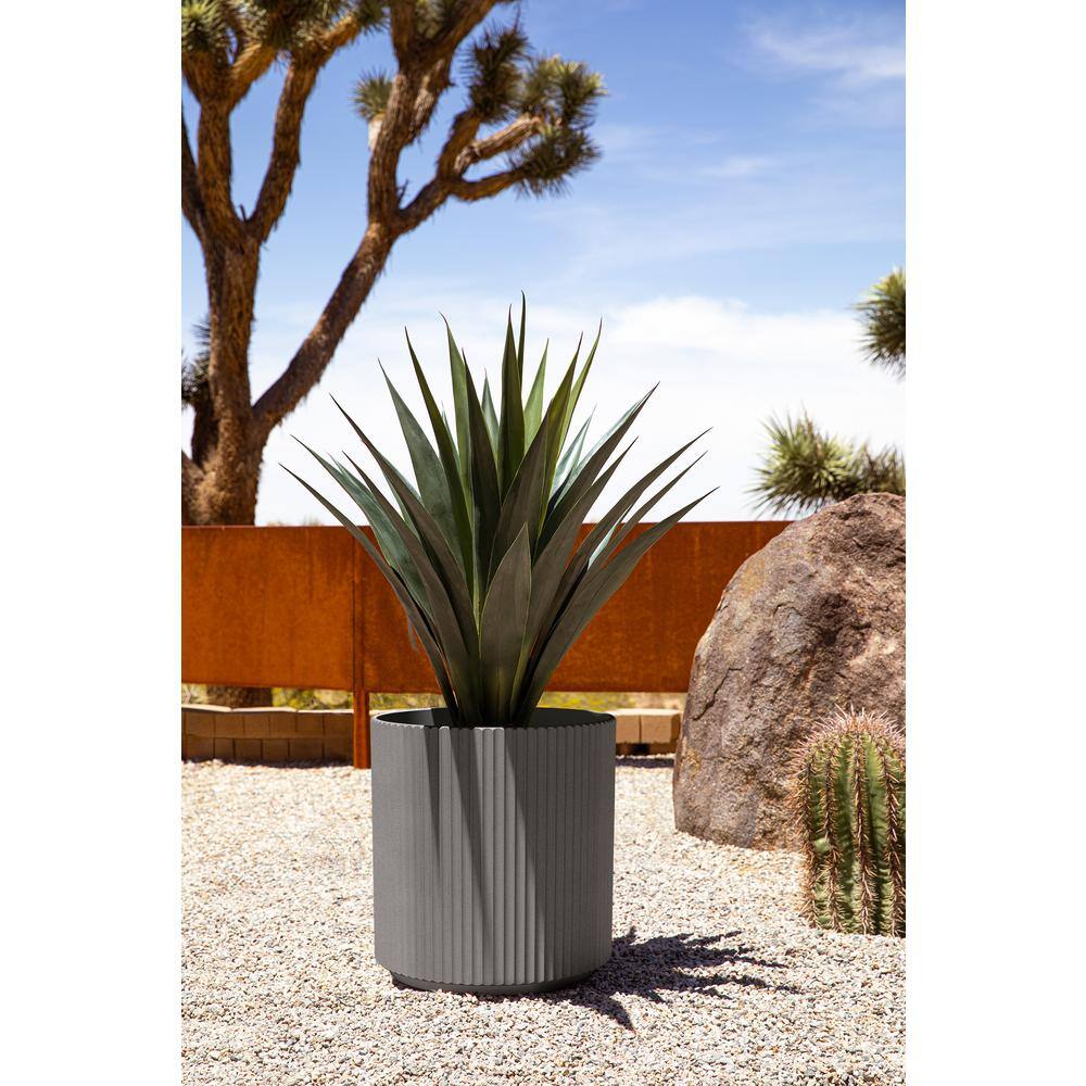 giant air plant Tillandsia Houston Green Giant Air Plant  The Artizan Way