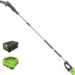 Greenworks 80V 10" Cordless Polesaw (Great For Pruning and Trimming Branches / 75+ Compatible Tools), 2.0Ah Battery and Charger Included